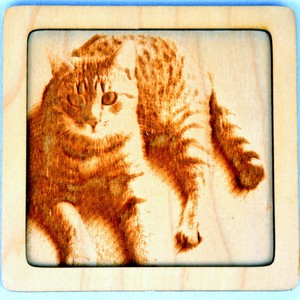 Dřevěný gravírovaný obrázek malý-kočka mouratá
