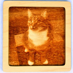 Dřevěný gravírovaný obrázek malý-kočka pohled do leva-poslední kus!