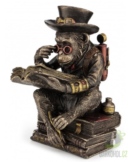 Dárky - Steampunk Šimpanz s knihou