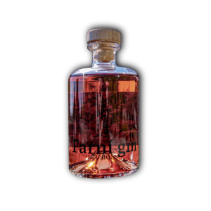 Pálava Farní Gin Infusion 43% 0,5l