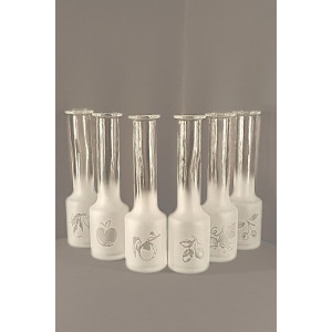 Pískovaná sada panáků - Ovoce (zkumavka)